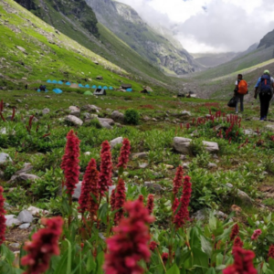 Hampta Pass Trek Package