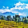 Kashmir Travel Guide