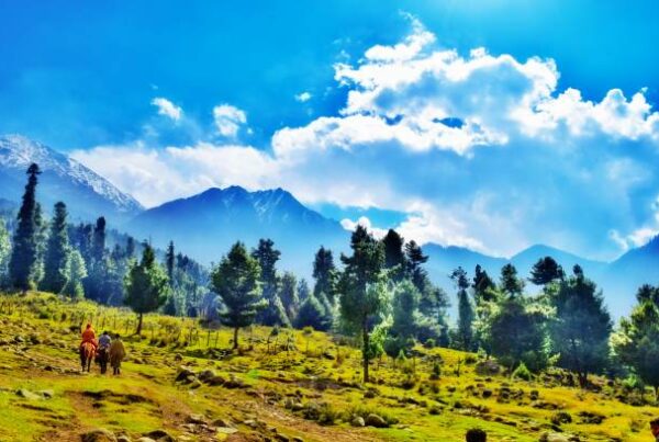 Kashmir Travel Guide