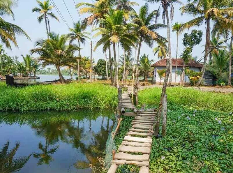 Kerala Backwater View - Munnar Allepay Tour