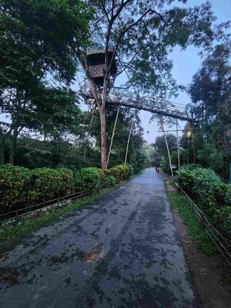 Meghalaya with Kaziranga Group Tour Packages