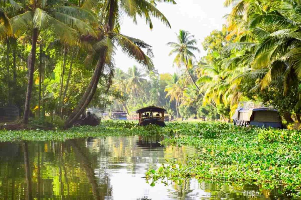 Alleppey main attraction - Kerala tour packages