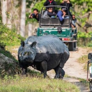 Meghalaya with Kaziranga Backpacking Trip