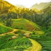 Meghalaya Group Tour by International Youth Club