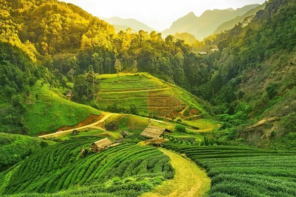 Meghalaya Group Tour by International Youth Club
