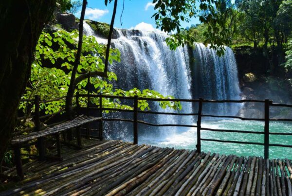 Meghalaya Tour Package with International Youth Club