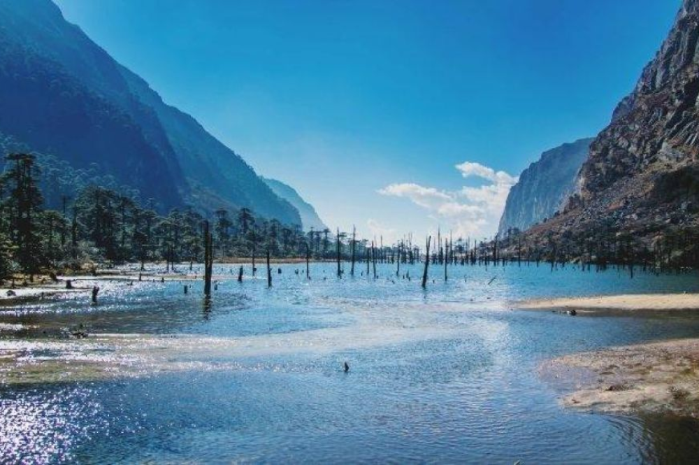 Sangetsar Lake in winter with dead tree trunks