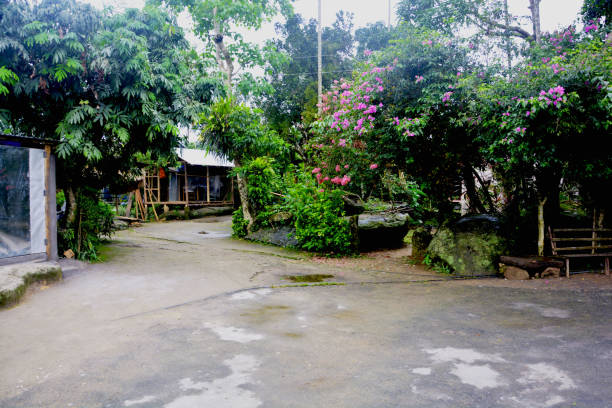 Group exploring bamboo skywalk in Mawlynnong, Asia’s cleanest village