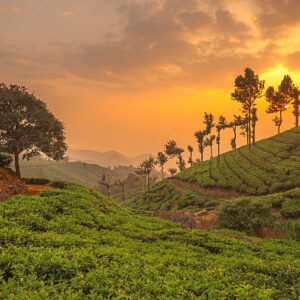 2 Night 3 Days Kerala Tour Packa