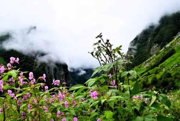 5 Best Monsoon Treks in India
