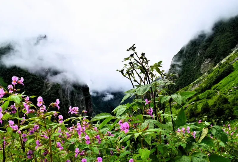 5 Best Monsoon Treks in India