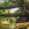 7-Day Meghalaya Itinerary for First-Time Visitors