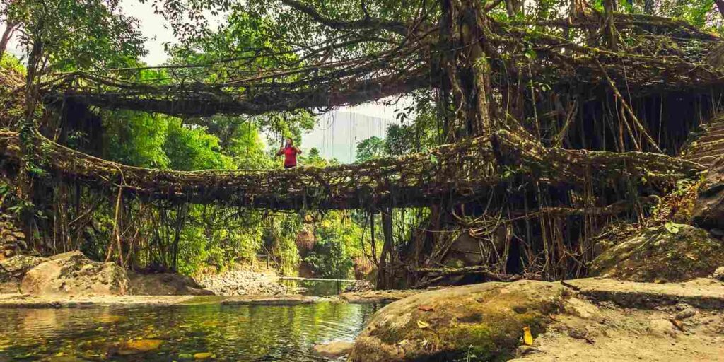 7-Day Meghalaya Itinerary for First-Time Visitors
