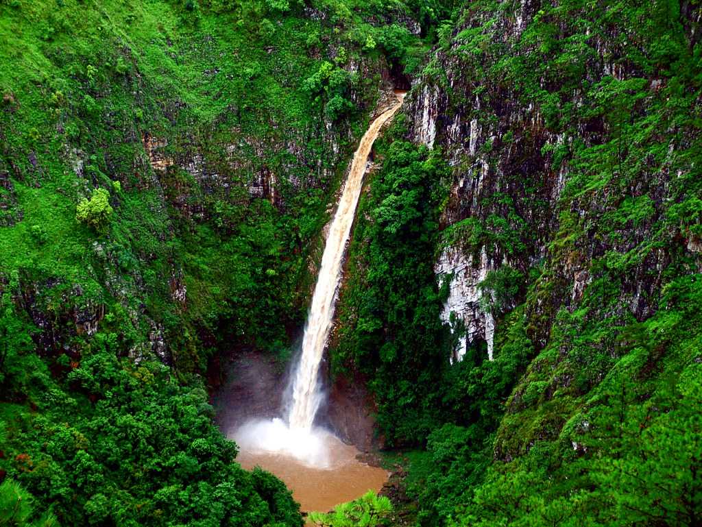 Twin waterfalls plunging into a forested gorge near Shillong