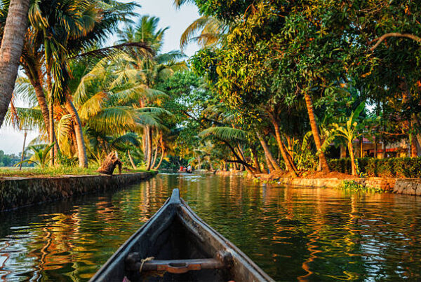 Top 10 Places to Visit in Kerala