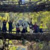 Meghalaya Group Tour in September