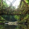 Meghalaya Itinerary for 5 to 7 Days