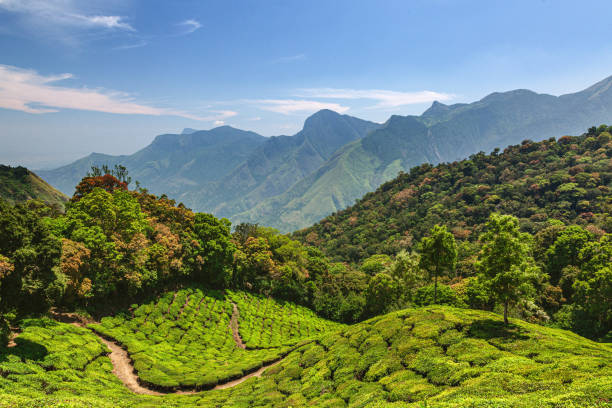 Munnar Tour Package