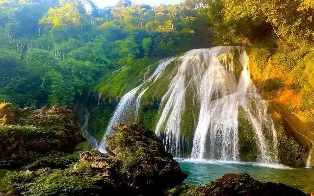 Tyrshi Falls flowing through green rice fields near Jowai