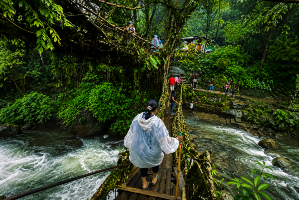 How to Reach Meghalaya – Ultimate Travel Guide by Air, Train & Road